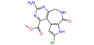 3-Debromolatonduine B methyl ester